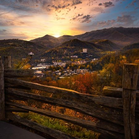 The Nut House, Hot Tub, Game Room, Wifi, 1089 Free Tickets Each Paid Day, Dollywood And More! Пиджен-Фордж Экстерьер фото